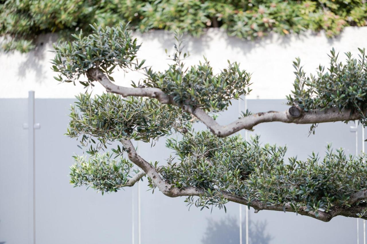 Villa La Matta Apartments And Luxury Suites サンレモ エクステリア 写真